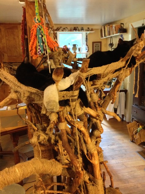 2013-08-27 14.40.09 HDR