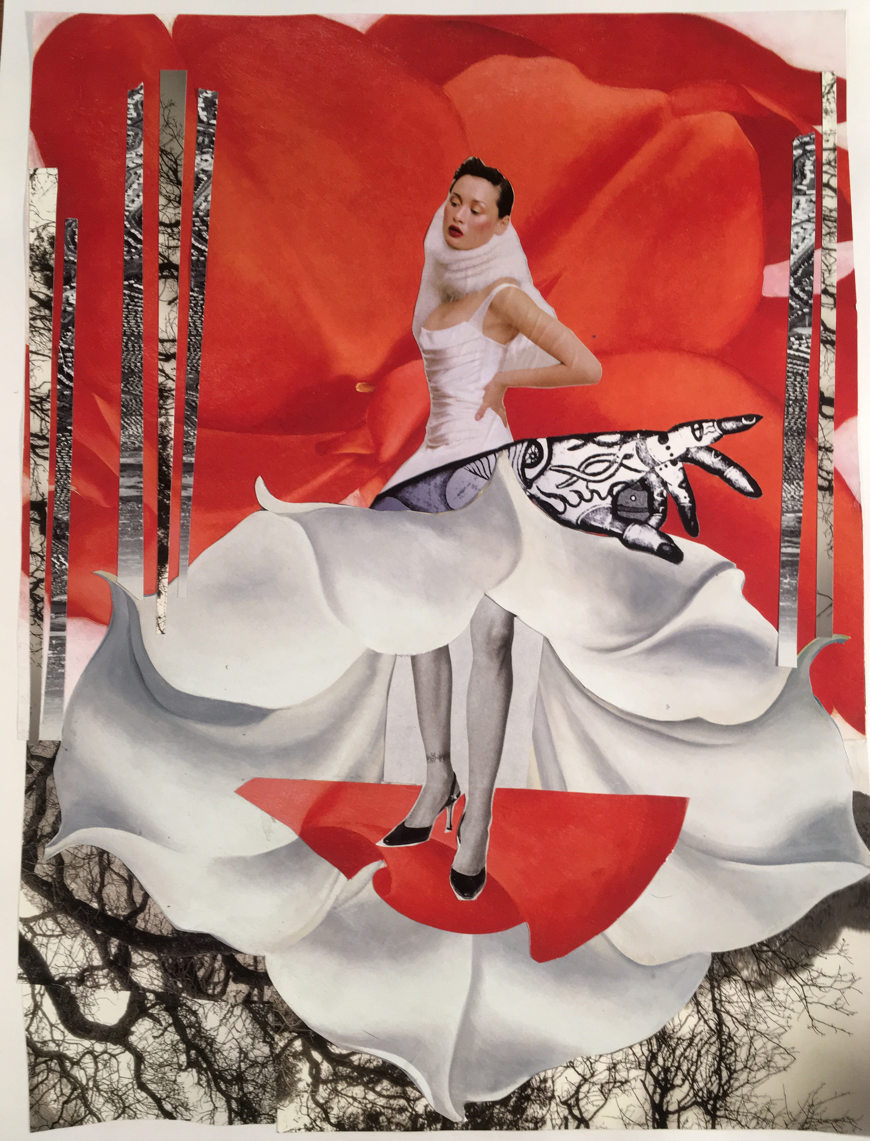 2017-03-01-12-51-21-1